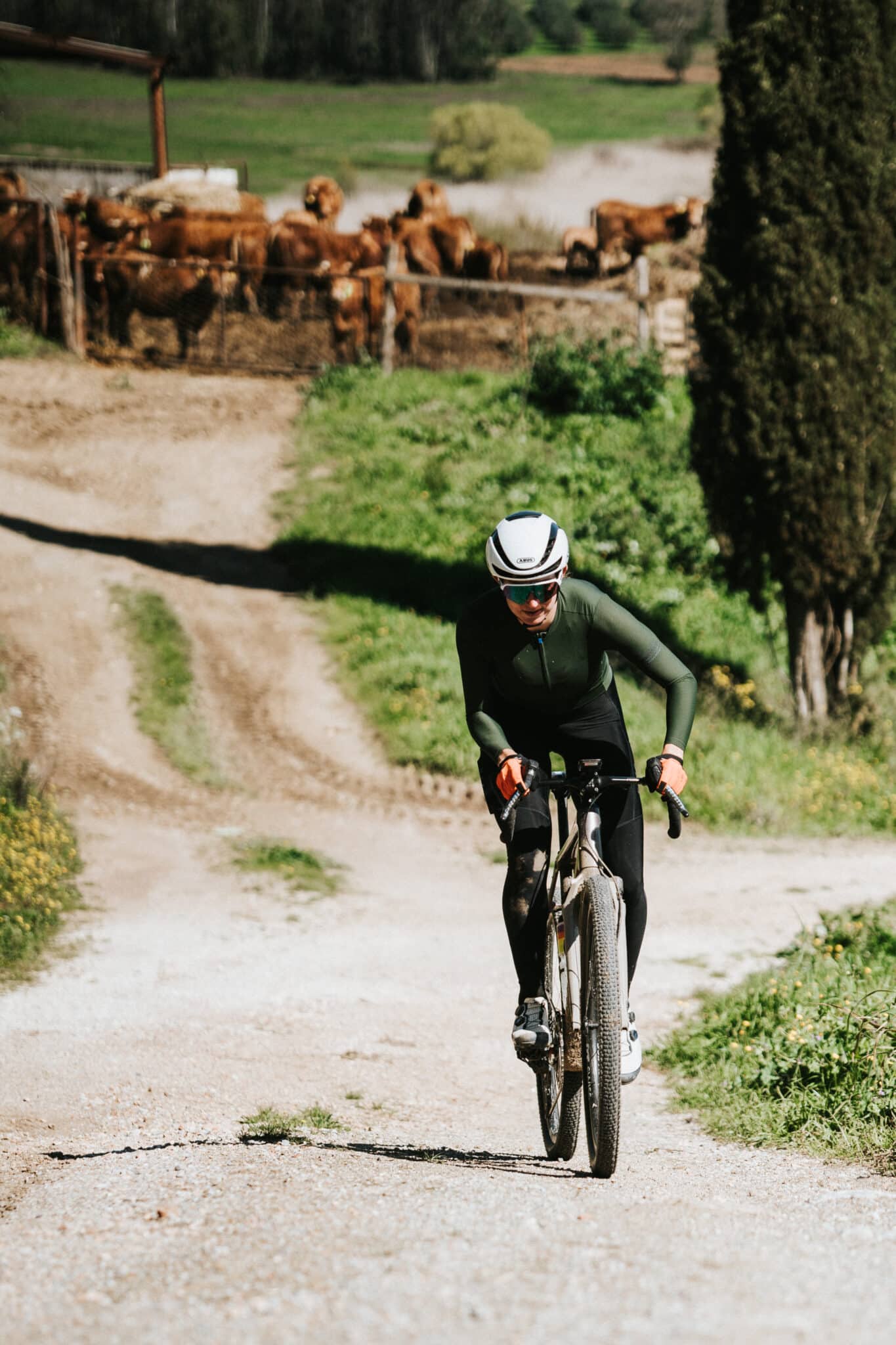 Top Vélo | Continental Terra Adventure Action scaled