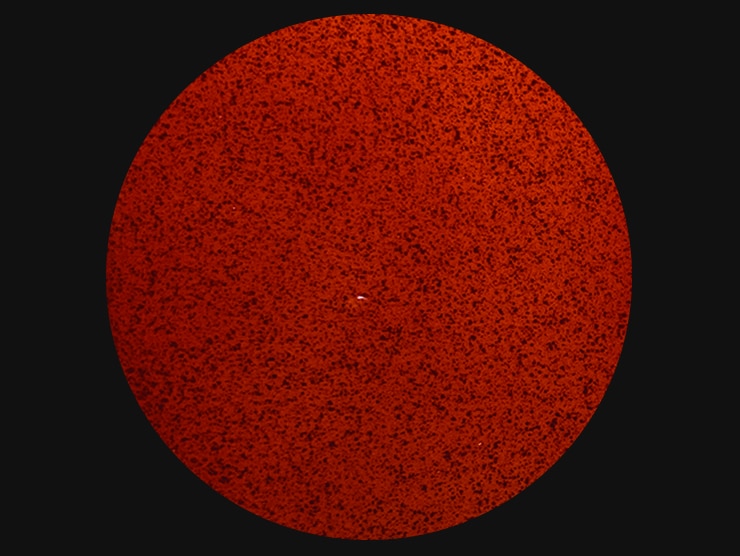 Top Vélo | Trek Project One Mojave Red