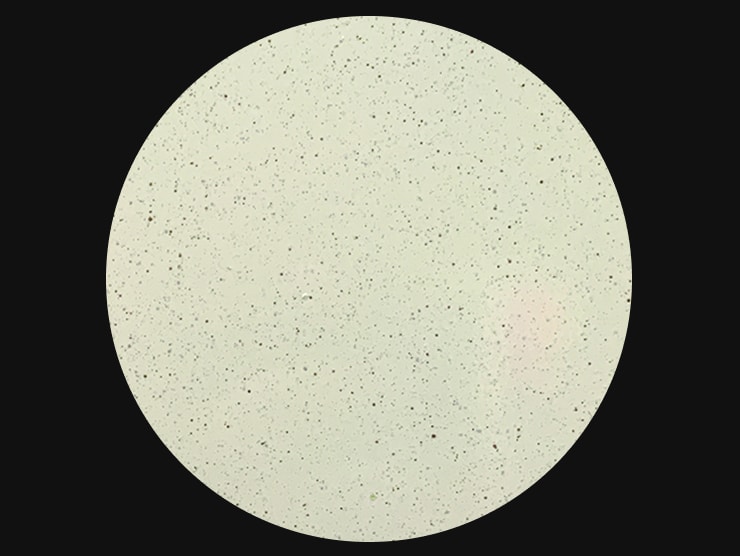 Top Vélo | Trek Project One Moondust