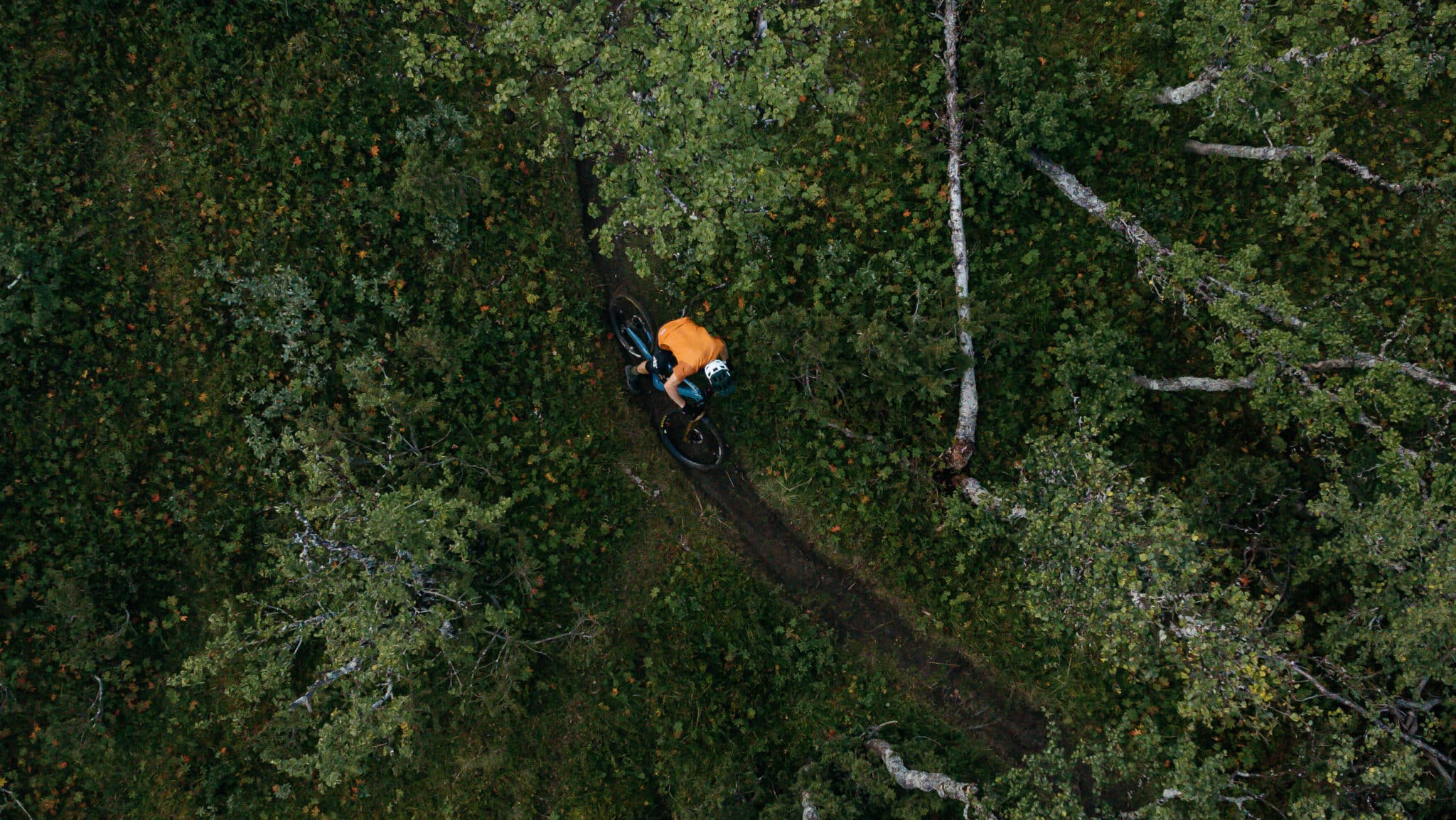 Top Vélo | Vetements cyclistes POC 2025 Action edited scaled