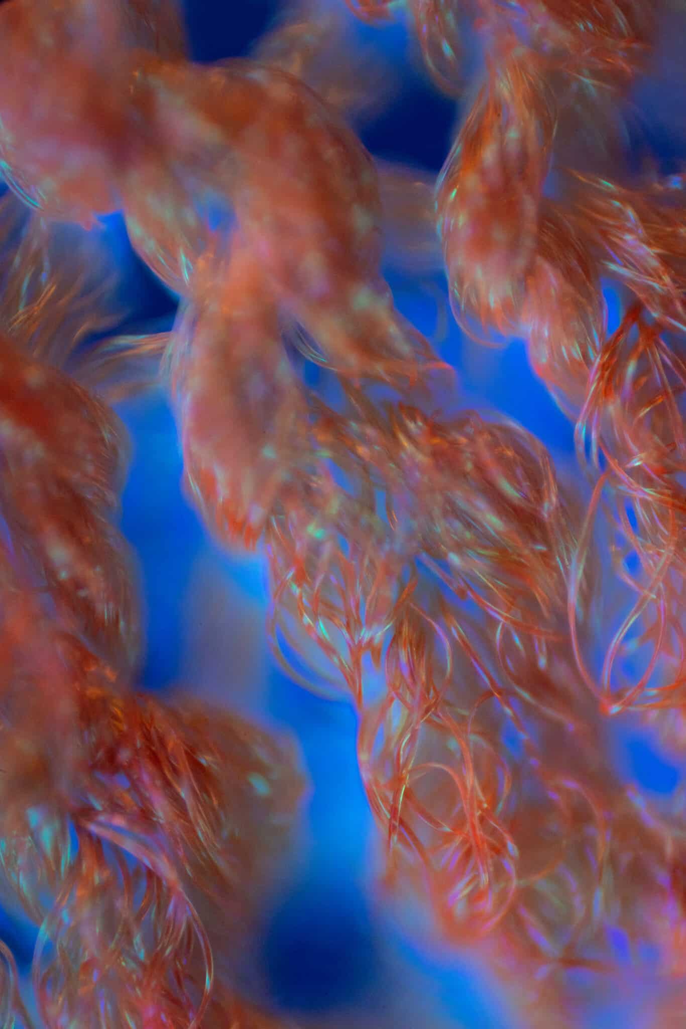 Top Vélo | Vetements cyclistes POC 2025 Microscope MotionAir scaled