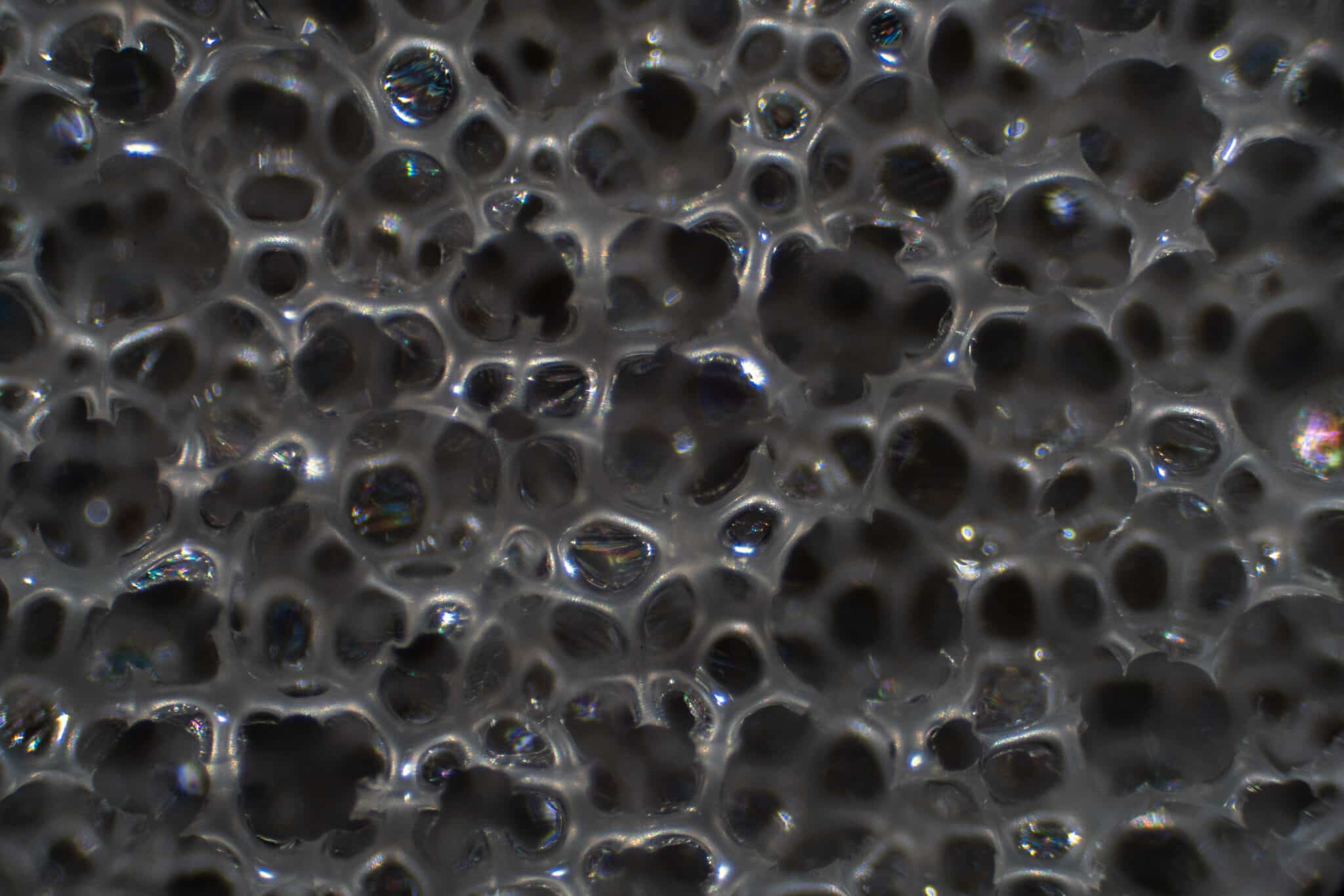 Top Vélo | Vetements cyclistes POC 2025 Microscope NovusChamois scaled