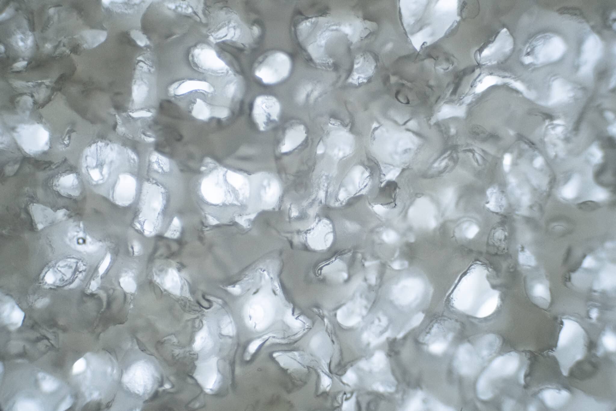 Top Vélo | Vetements cyclistes POC 2025 Microscope Novus Chamois scaled