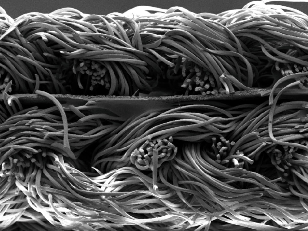 Top Vélo | Castelli Perfetto RoS 3 Filaments microscopiques