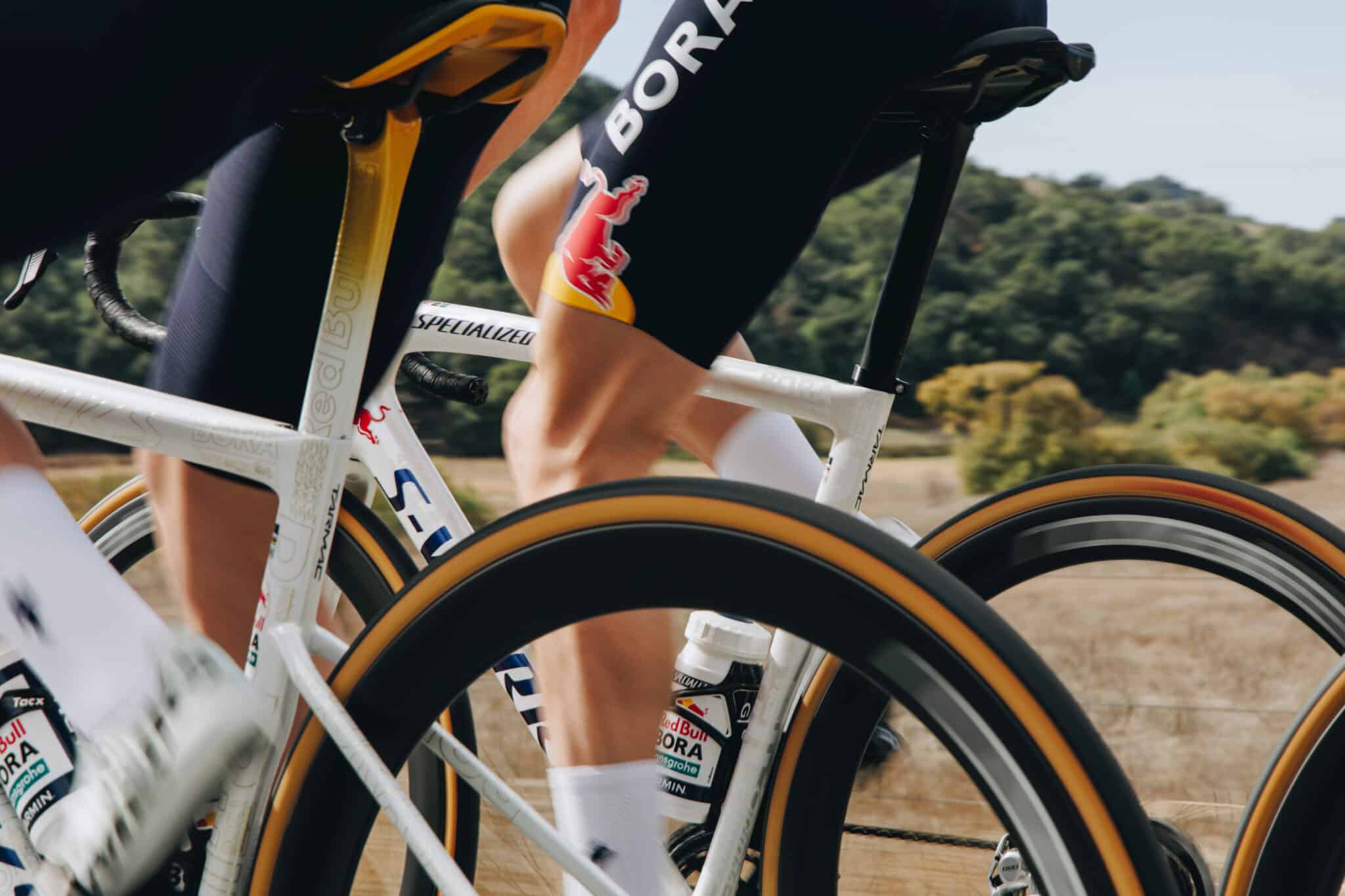 Top Vélo | Specialized Turbo Cotton TLR 2026 Confort scaled