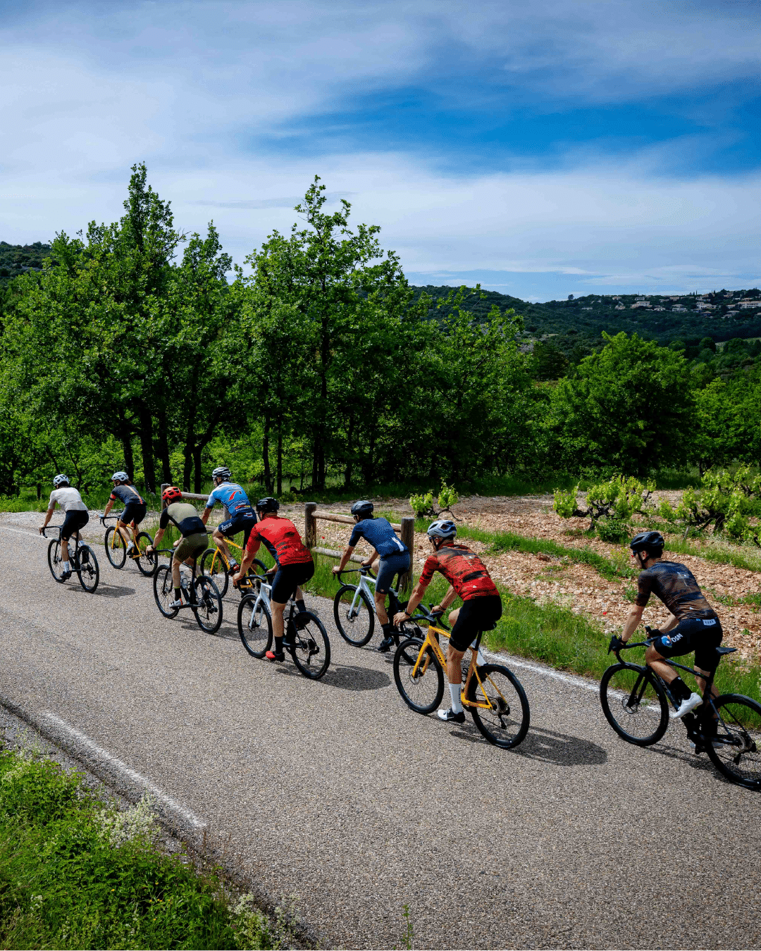Top Vélo |
