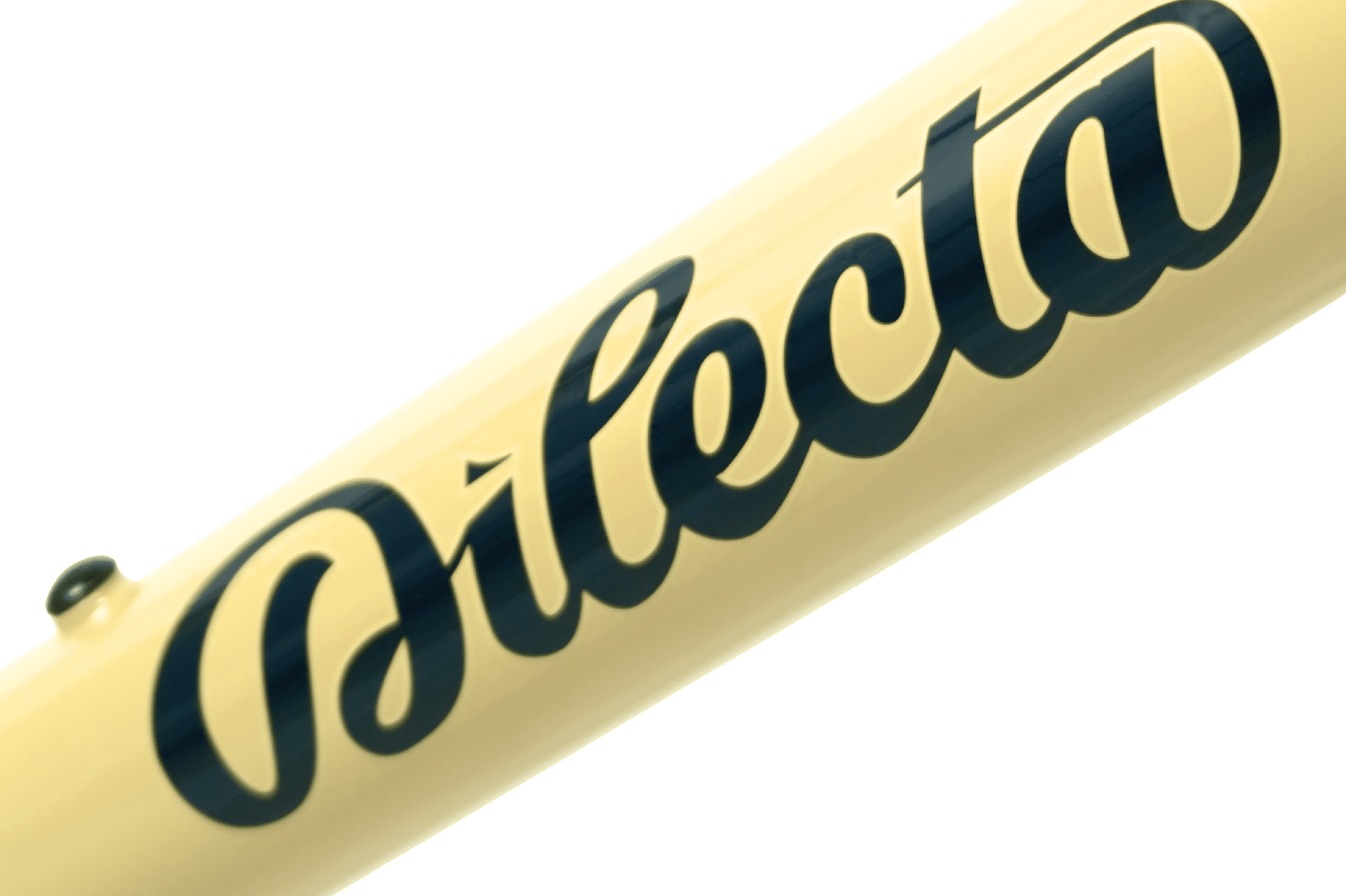 Top Vélo | Dilecta Samara 2026 Signature Top Vélo | Dilecta Samara 2026 Signature