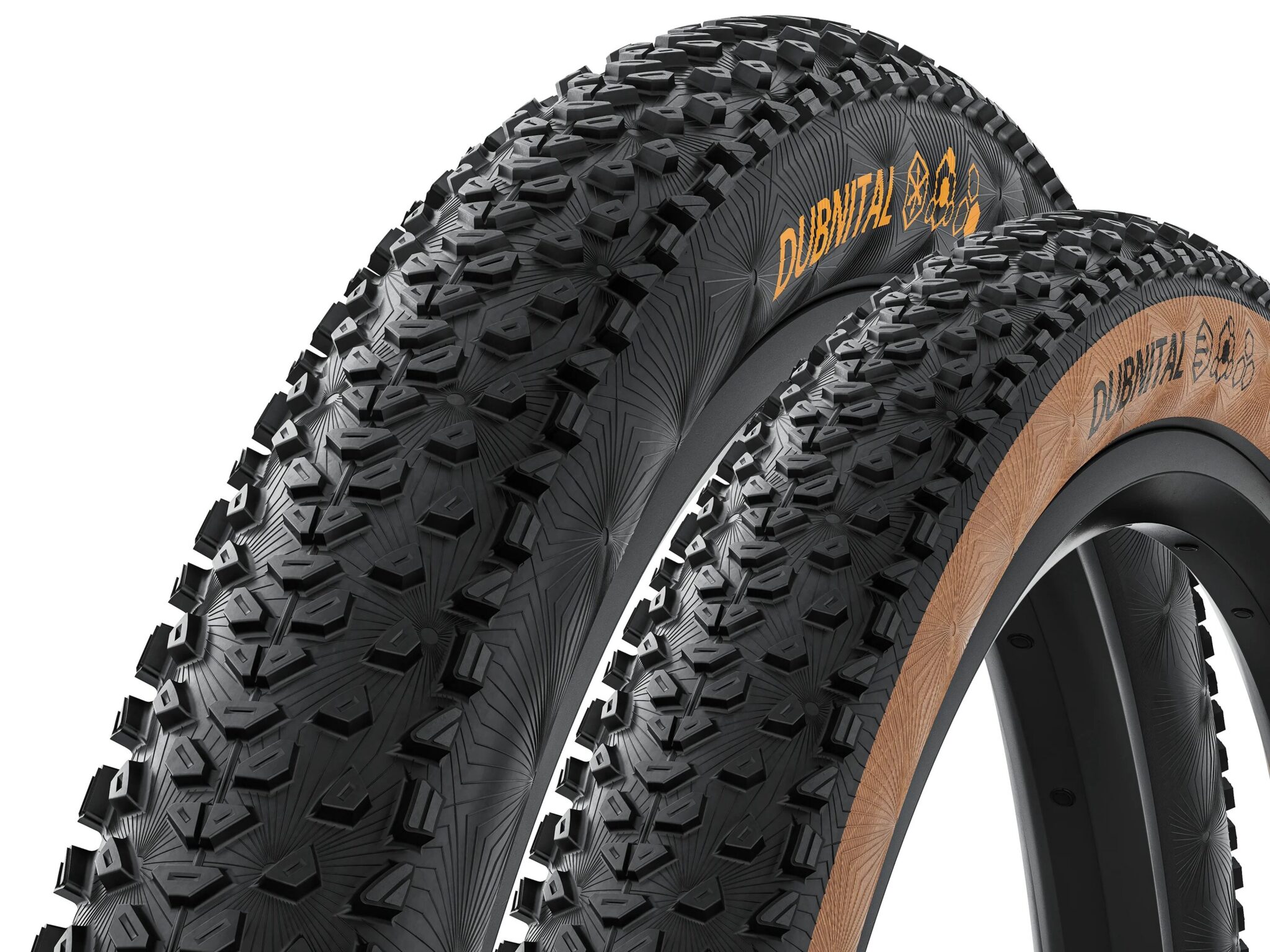 Top Vélo | Science Gravel Continental 2026 Dubnital edited scaled