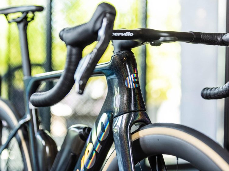 CERVÉLO 6